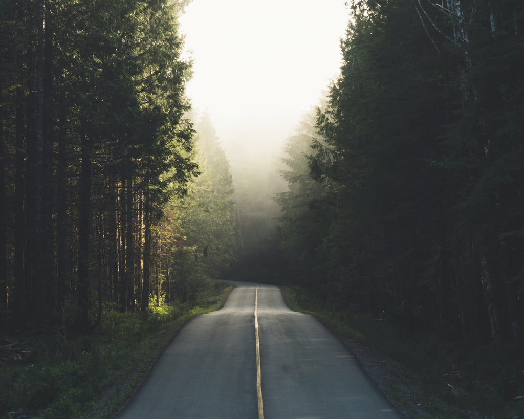 A Brief History of Vancouver Island