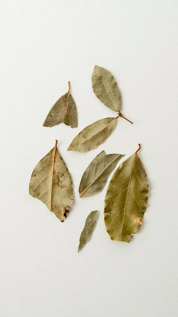 California Bay Leaf