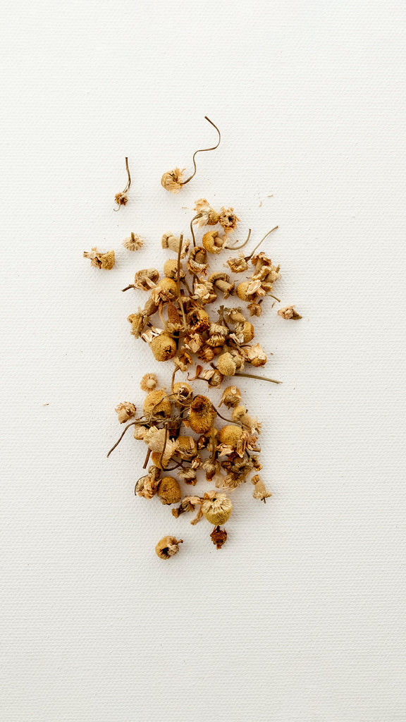 Chamomile