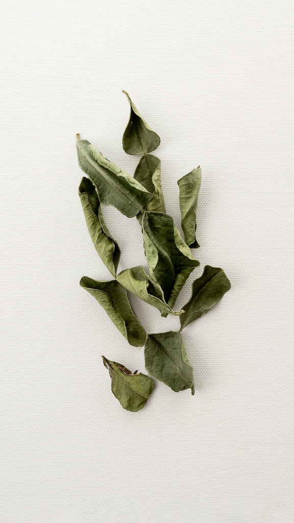 Lime Leaf