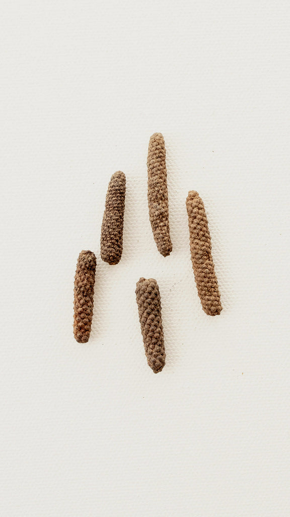 Long Pepper