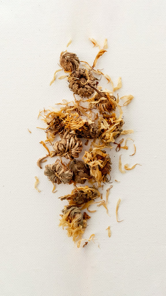 Marigold