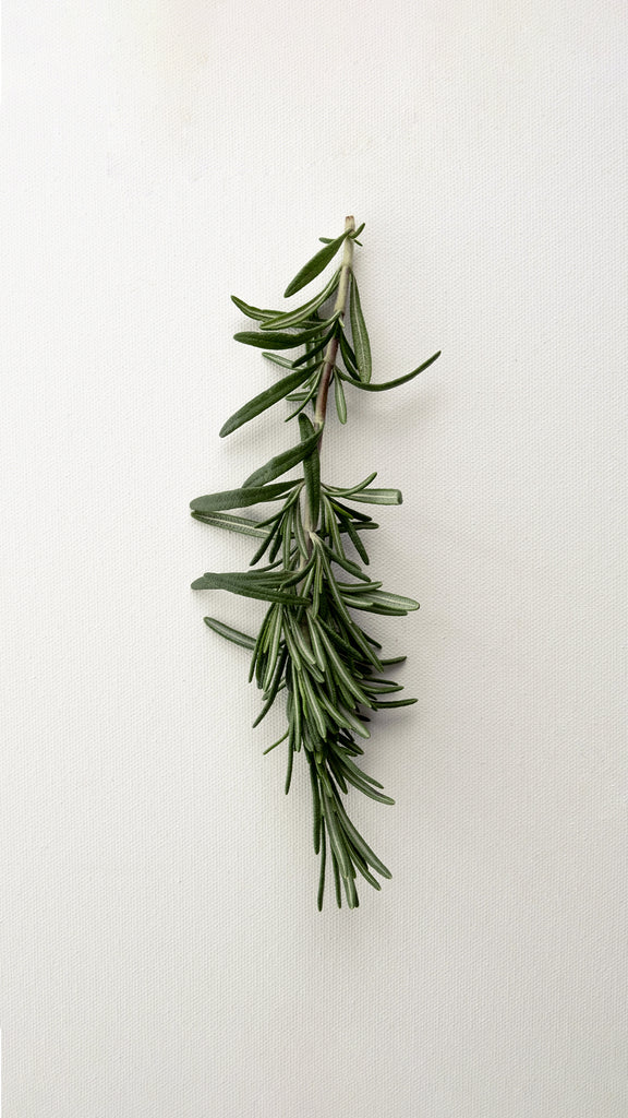 Rosemary