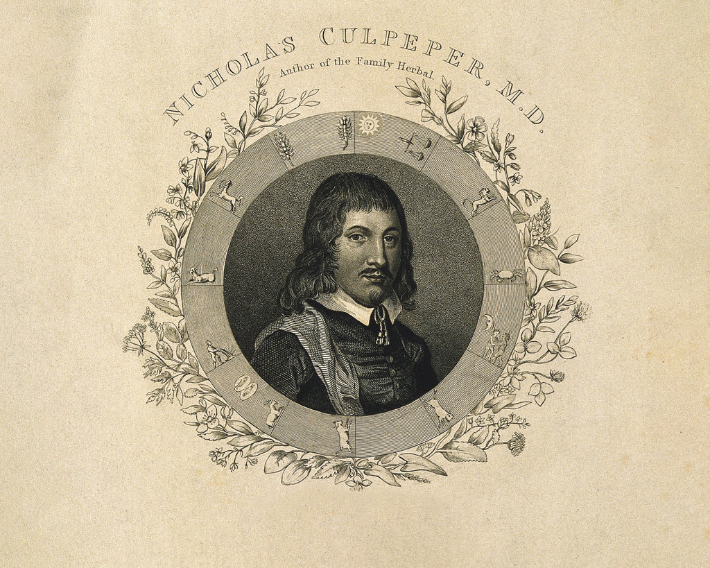 Meet Nicholas Culpeper, The Bad Boy of Botany